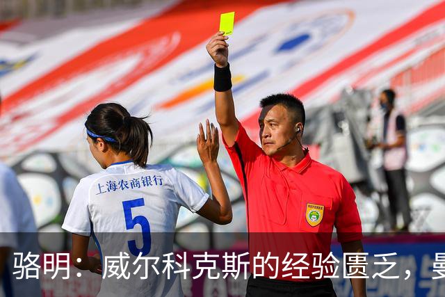 骆明：威尔科克斯的经验匮乏，曼联老板决策失误